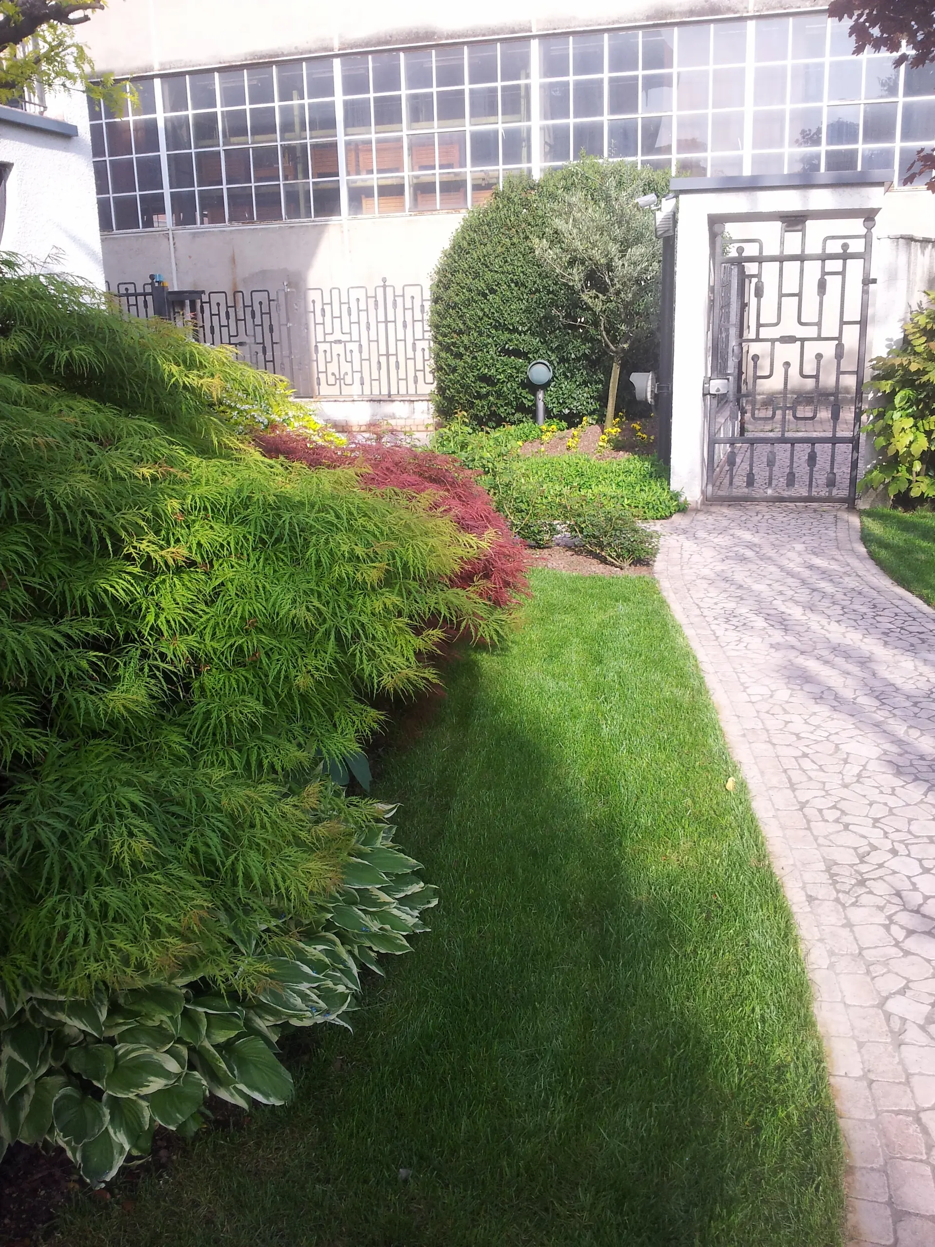 giardino con acero giapponese e viale ciottoli - il Maggiociondolo