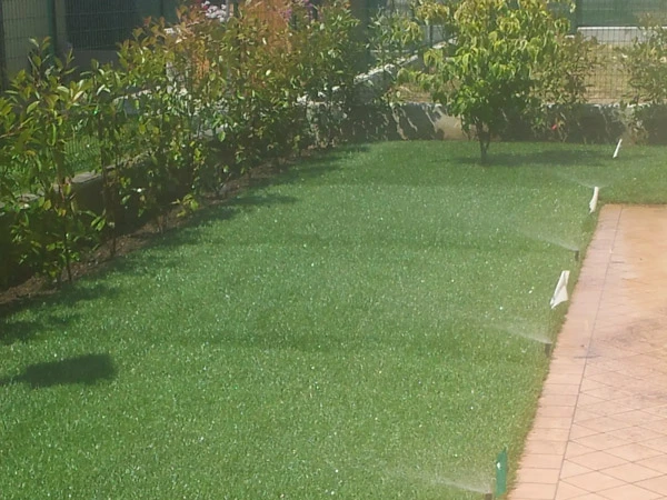 Realizzazione Prato e Siepi - il Maggiociondolo