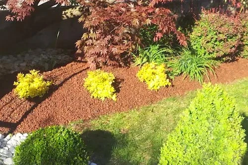 Progettazione Aiuole e Manutenzione Prato - il Maggiociondolo