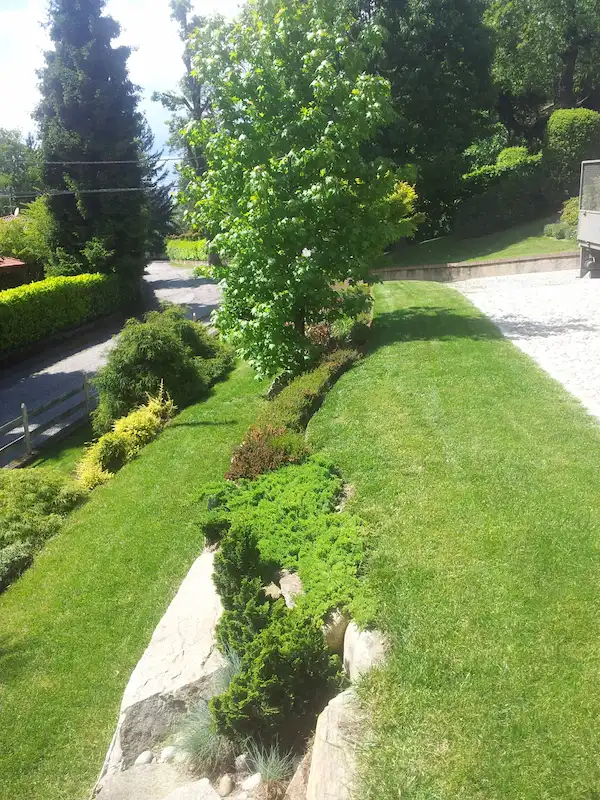 Sistemazione Terrazzamenti e Piantumazione Alberi - il Maggiociondolo