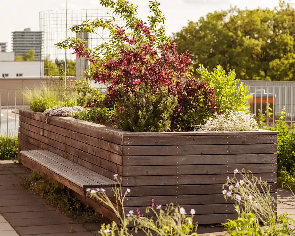 dettaglio giardino pensile tetto di un condominio - il Maggiociondolo