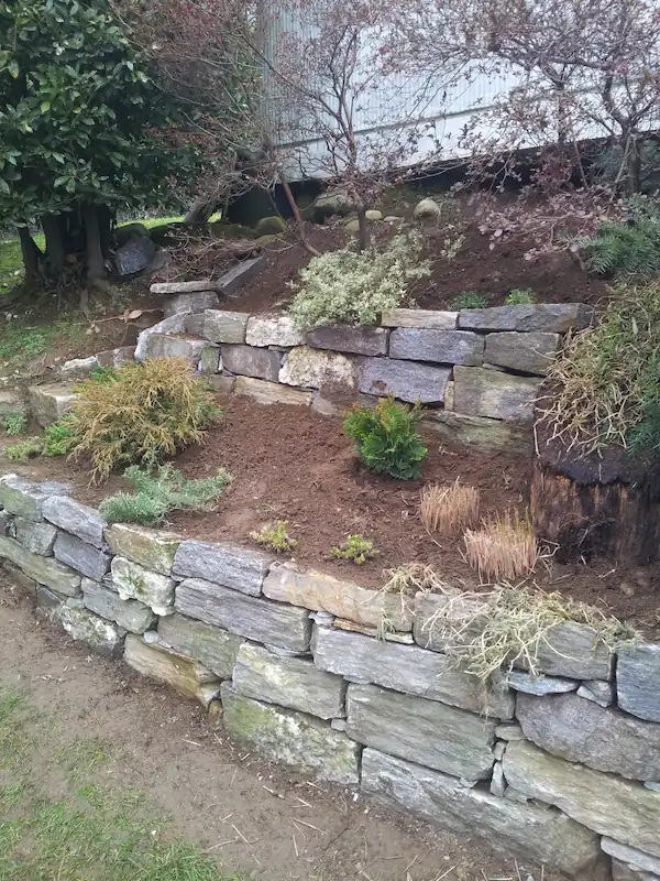 muretto naturale manutenzione giardino - il Maggiociondolo
