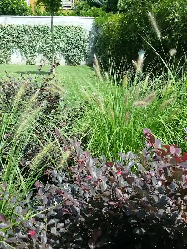 realizzazione giardino Varese - il Maggiociondolo