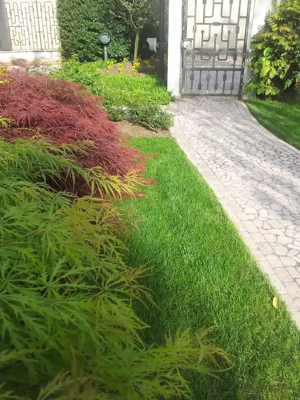 vialetto di entrata per giardino privato - il Maggiociondolo